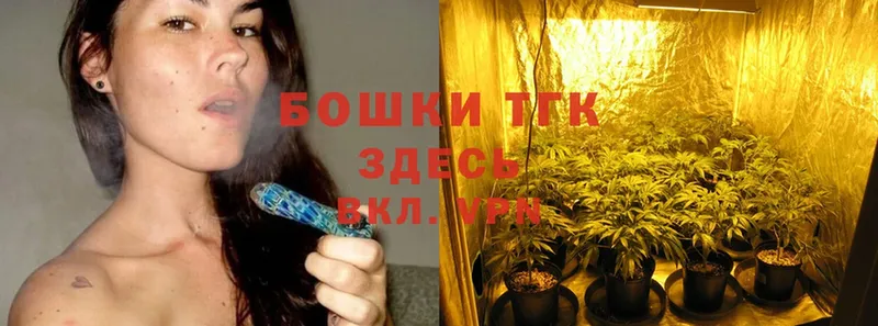 купить наркотик  Курск  MEGA ТОР  Канабис Amnesia 